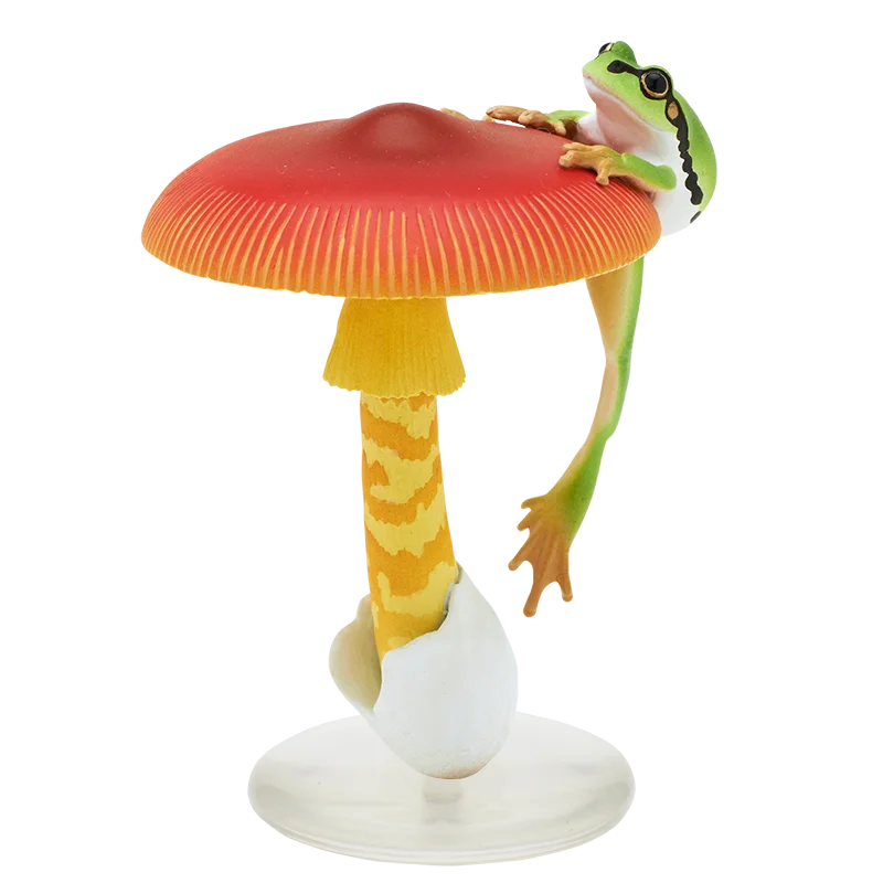 Amanita javanica