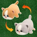 cat A