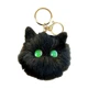 black cat