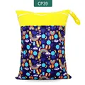 CP39 Diaper Bag