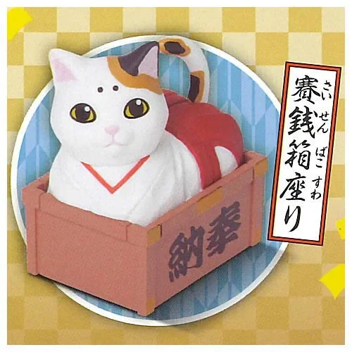 cat sit offering box