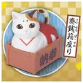 cat sit offering box