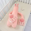 Pink rabbit