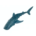 Spotted Whale