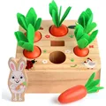 carrot