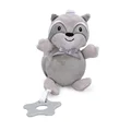 Raccoon