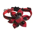 flower red black