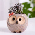 Owl C
