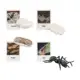 Ants