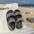 zebra black