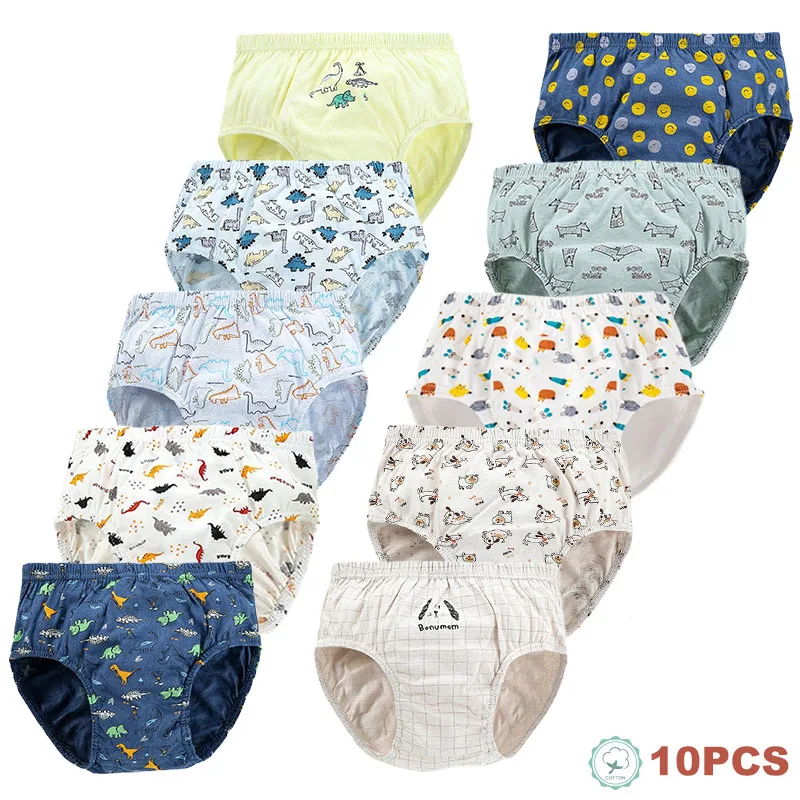 Calzoncillos de algodón para niño – Estampado dinosaurio