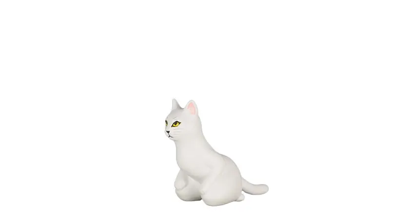 cat apology
