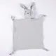 Gray-Rabbit
