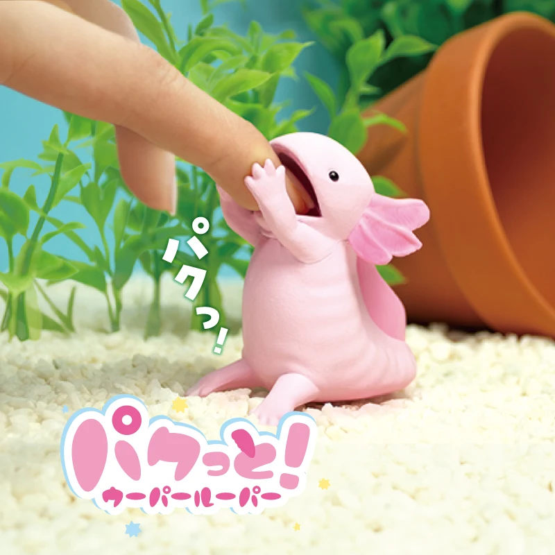 ¡Gell World Pakutto! Wooper looper cápsula juguetes kawaii adorable axolotl con sus figuras abiertas de boca puede contener un bolígrafo - imagen 5