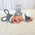 Grey Rabbit