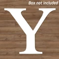 only Letter Y No Box
