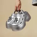 Silver DOG