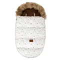 beige bear