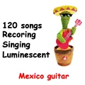 Mexico guitar