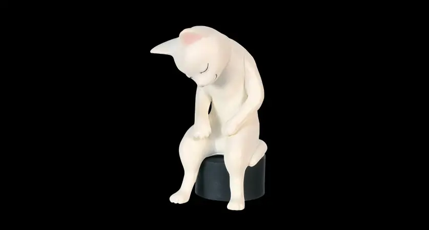 white cat
