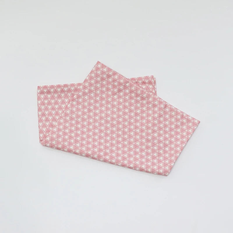 Pink Triangle