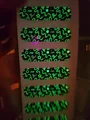 Type B luminous