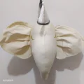 White Elephant