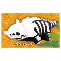 Triceratops