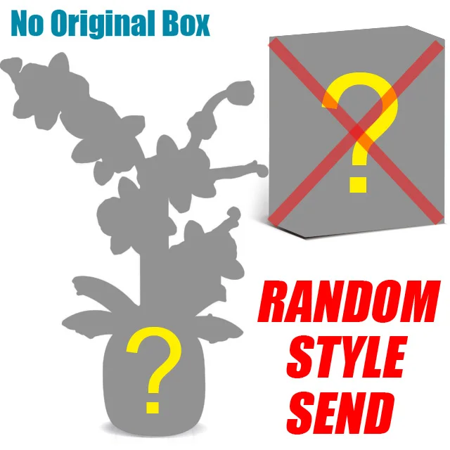 Random No Box