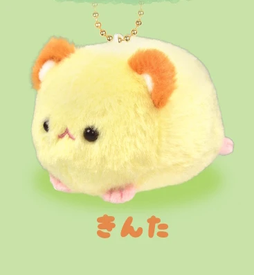 Kinta hamster