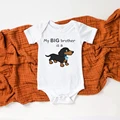 SB81-SRPWH-