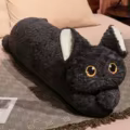 black cat