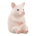 pig