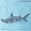 2Hammerhead shark