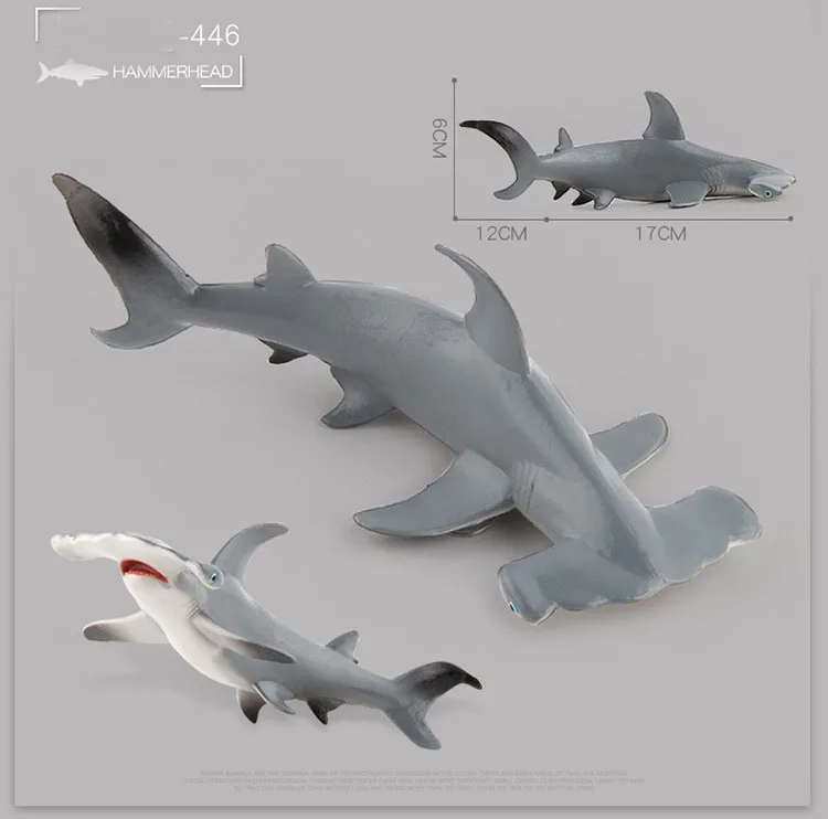 446 Hammerhead