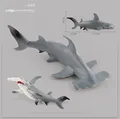 446 Hammerhead
