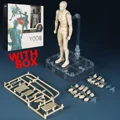 Khaki male WITH BOX
