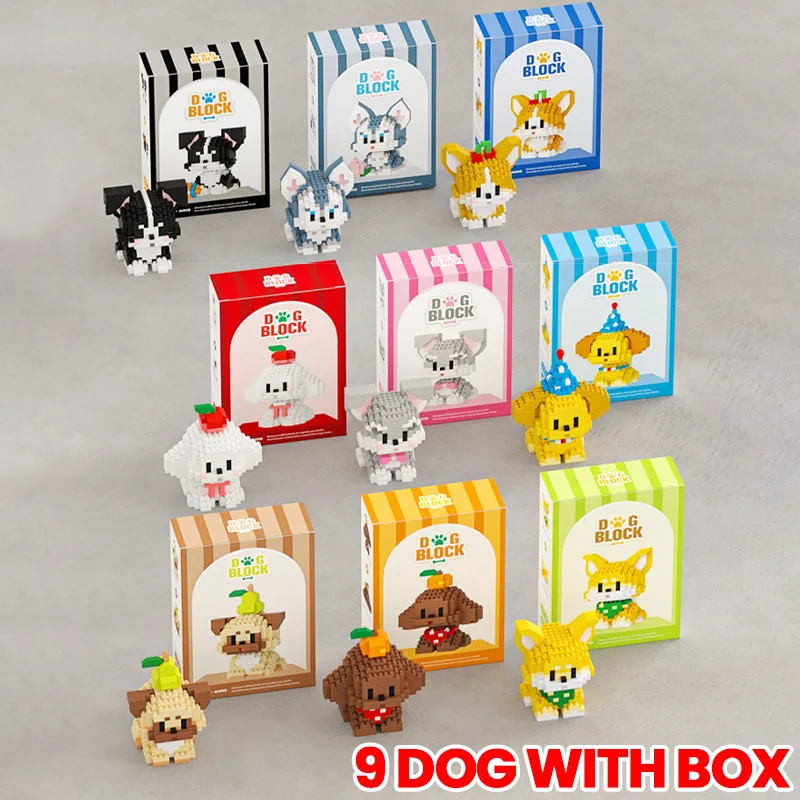 9 dog with box