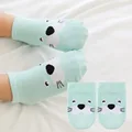 Blue Dolphin