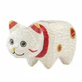 Nekobeko White