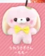 Lop rabbit peach