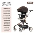 Coffee Brown 383