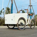 pedal