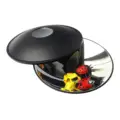 frog and ladybug