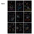 space