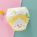 Pear Duck