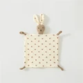 rabbit-15