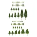 Pines and Poplar