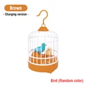 brown rechargeble
