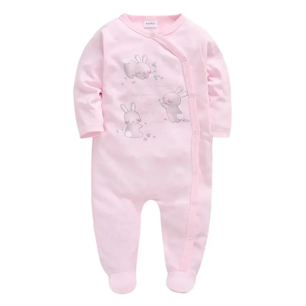 Pink rabbit